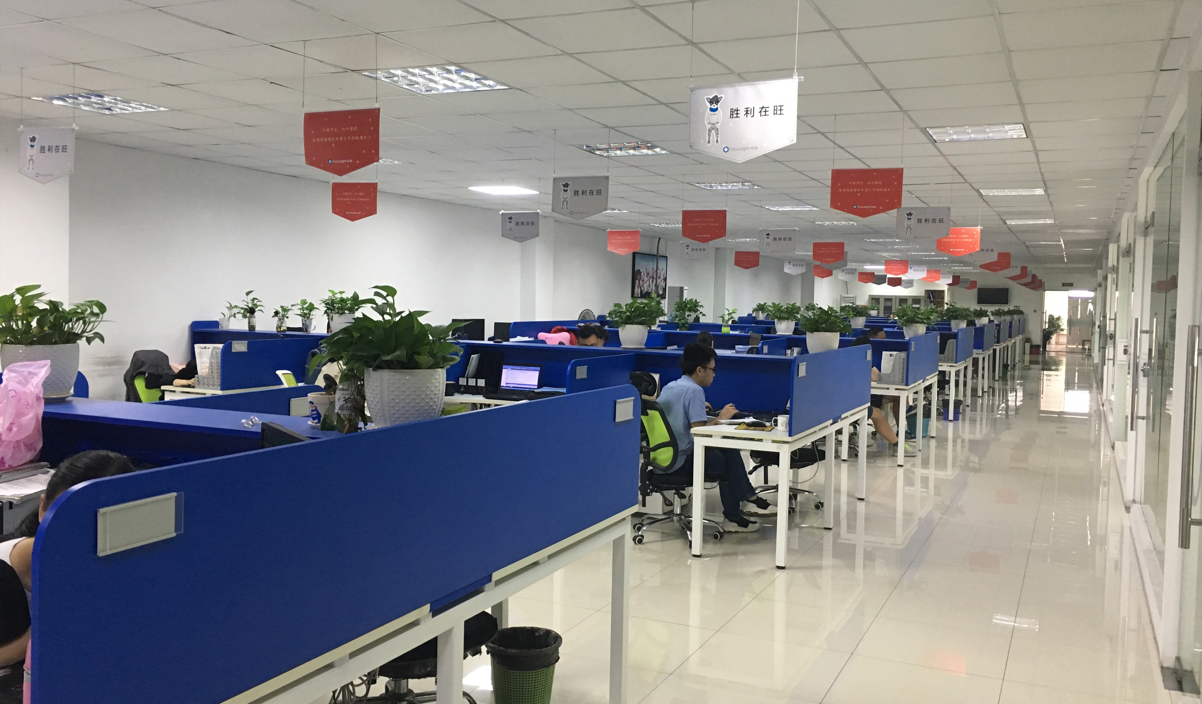 China Focusight Technology Co.,Ltd Unternehmensprofil