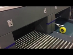 FS GECKO 500 IGAS machine with autostacker and  lighting software