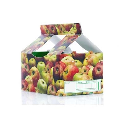 Früchte u. Gemüseverpacken mit den Kartonen, die Inspektions-Qualitätskontrollmaschine drucken