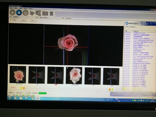 Frische Blume genaue Focusight-Inspektions-Maschine